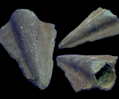 Bronzealder Spydspids 1700-1500 F.Kr